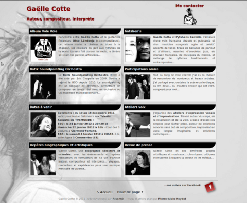 Site web gaellecotte.fr (2011)