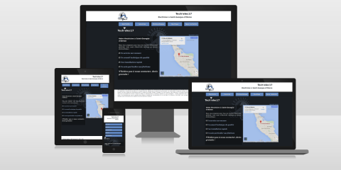 Tech'Elec 17 2013 (responsive)