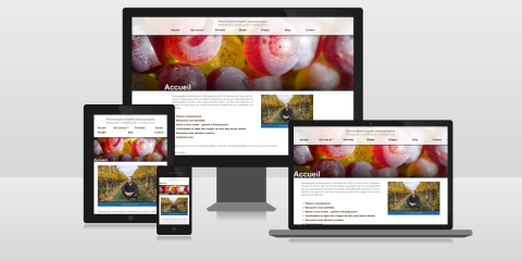 Pierre-Alain Heydel 2015 (responsive)