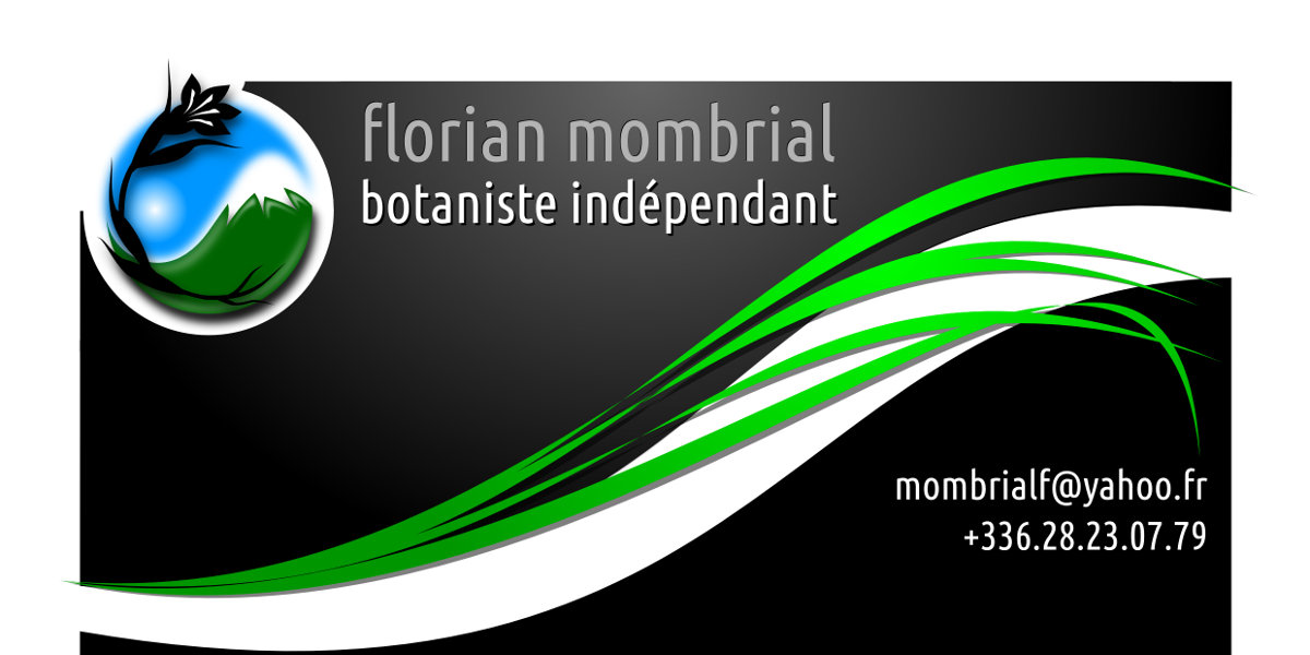 Plaquette Florian Mombrial