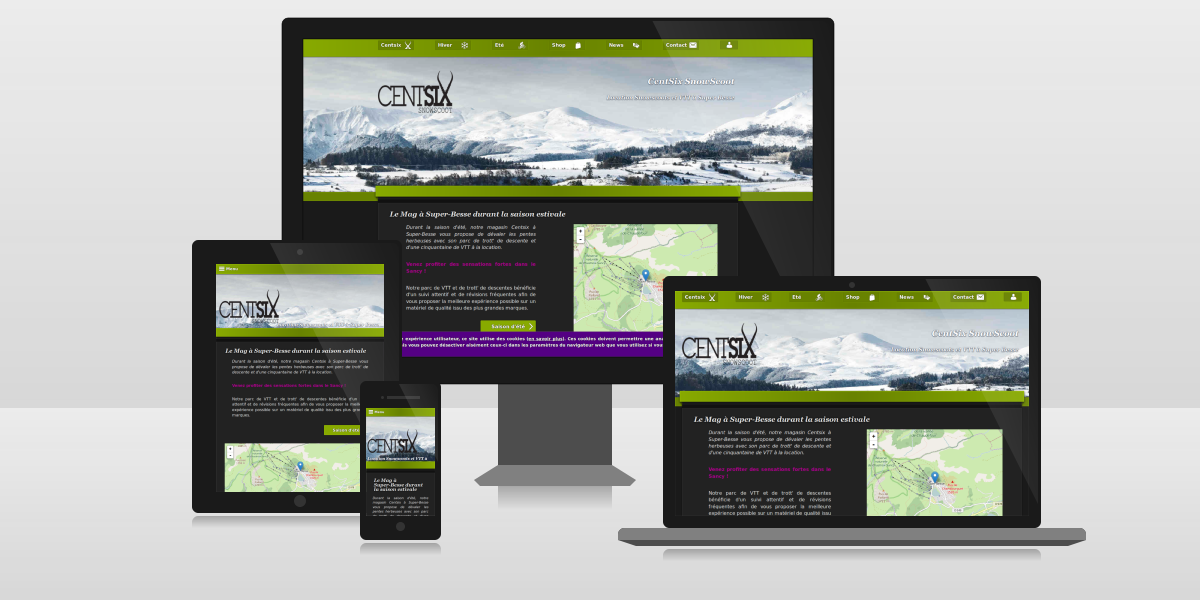Site web Centsix Snowscoot 2014