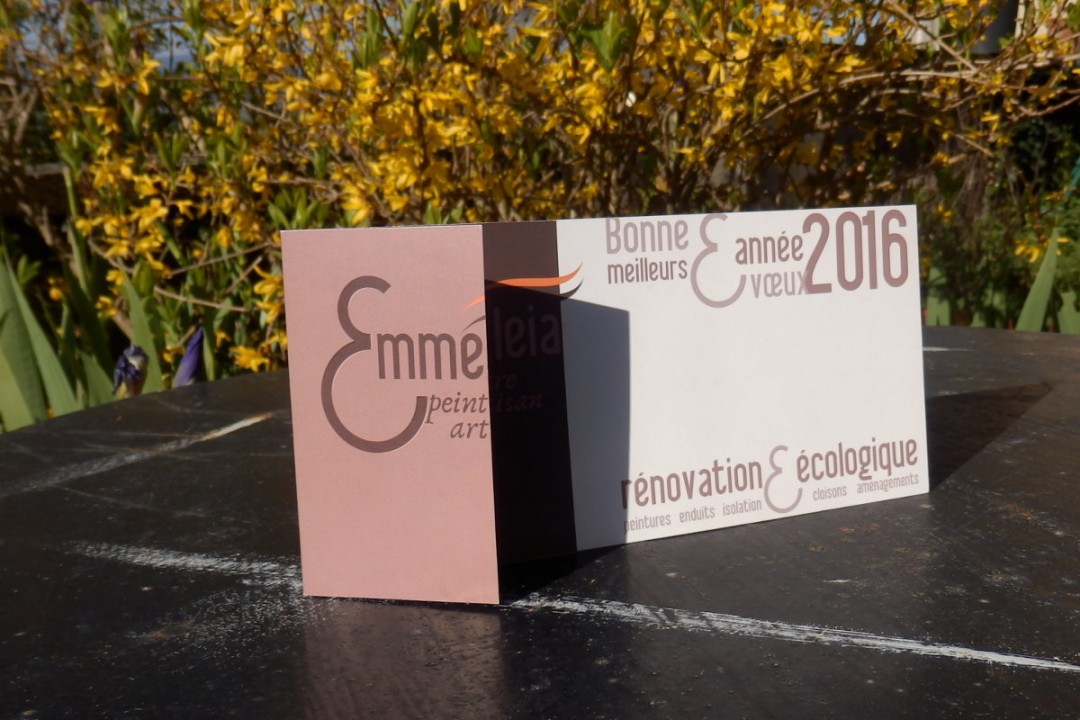 Vœux 2016 Emmeleia