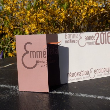 Vœux 2016 Emmeleia