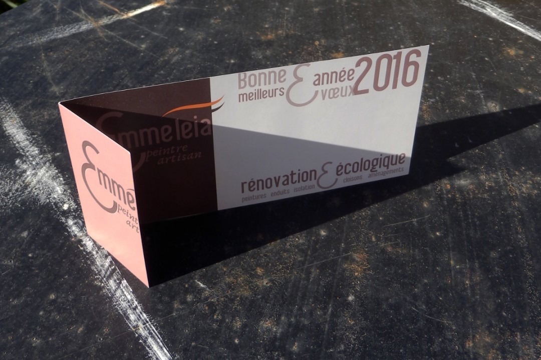Vœux 2016 Emmeleia