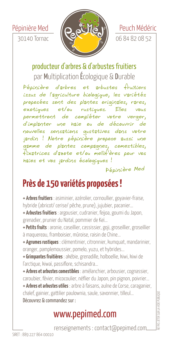 Maquette de flyer Pépimed