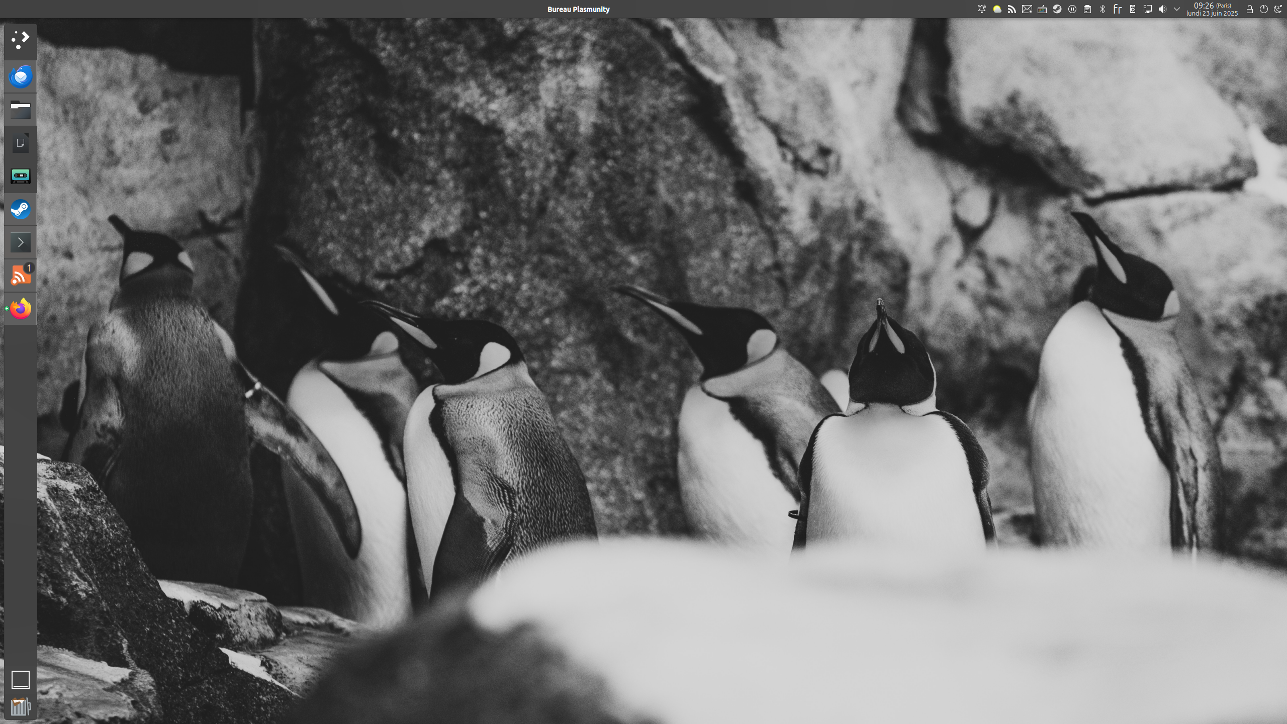 Kubuntu 24.04